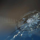 Image for article titled Can Bird Poop Really Crack Your Car's Windshield?
